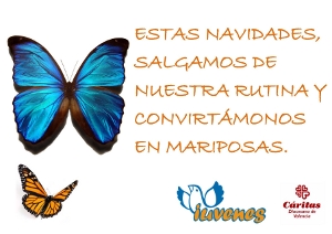 Taller Solidario