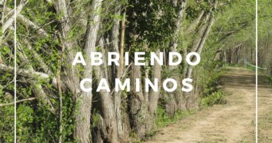 Abriendo Caminos
