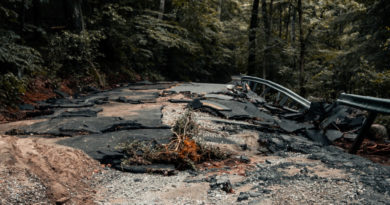 sellos trompetas apocalipsis
