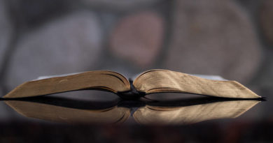 grupo lectura nuevo testamento 2022