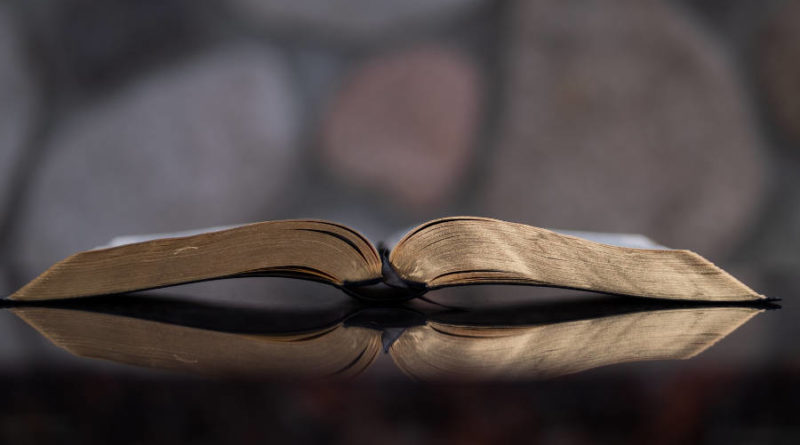 grupo lectura nuevo testamento 2022