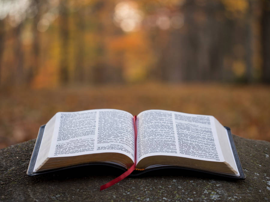 El Espíritu Santo en la Biblia: frases y citas que nos hablan de él